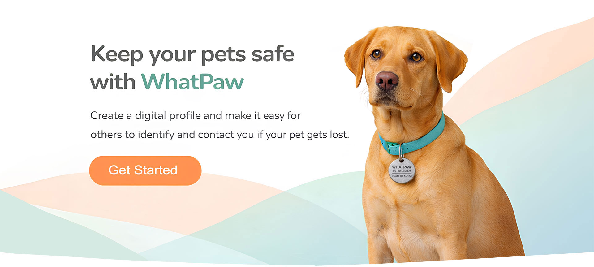 WhatPaw Banner