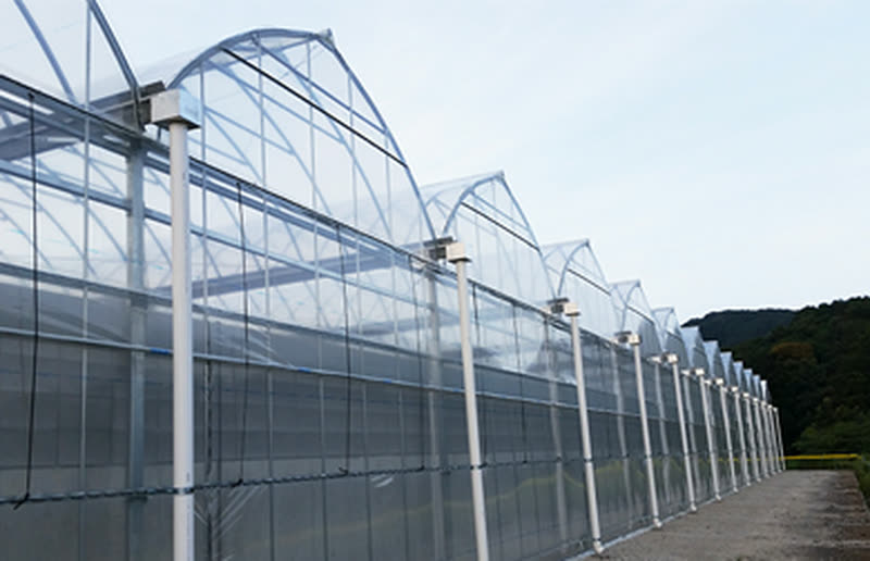 Film Greenhouses