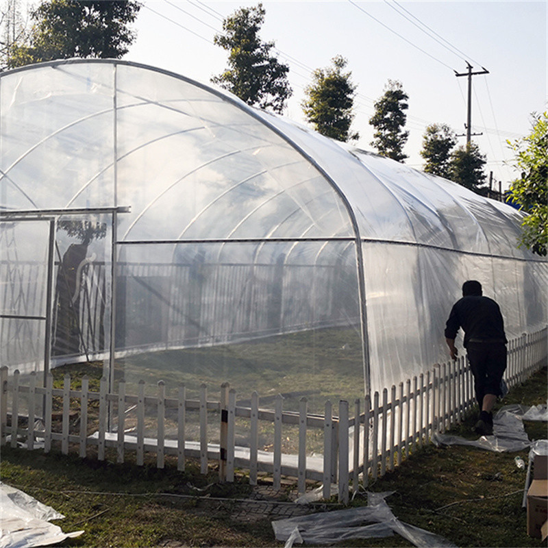 Single Span Film Greenhouse