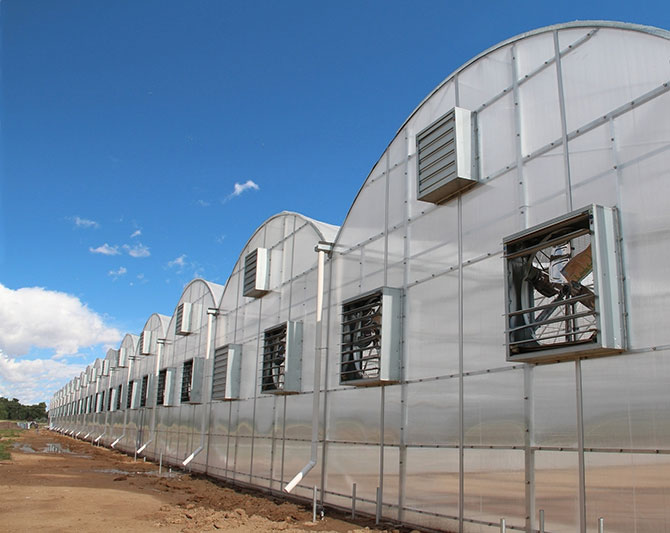 Tunnel PE Greenhouse