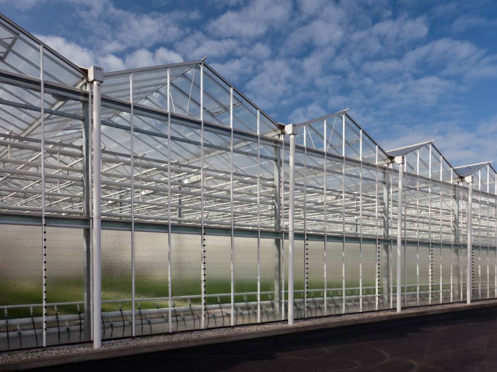 VL Glass Greenhouse