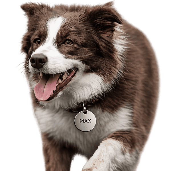Dog tag