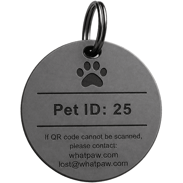 Pre engraved titanium pet tag A side