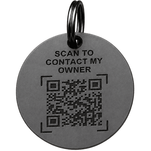 Pre engraved titanium pet tag B side